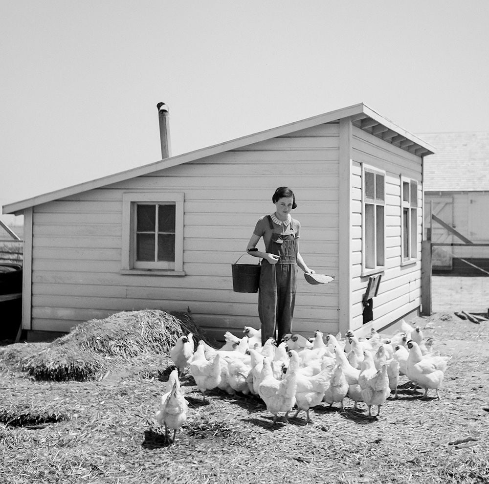 Coffee Table Book - Denim: The Fabric That Built America, 1935–1944